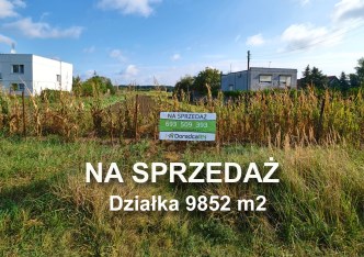 działka na sprzedaż - Poznań, Spławie, Szczepankowo
