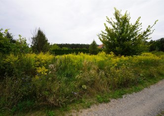 działka na sprzedaż - Murowana Goślina (gw), Mściszewo