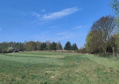 parcel for sale - Poznań, Morasko