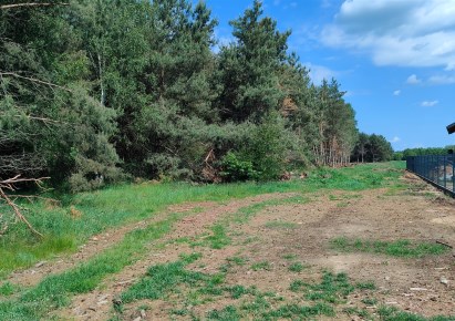 działka na sprzedaż - Łubowo, Wierzyce