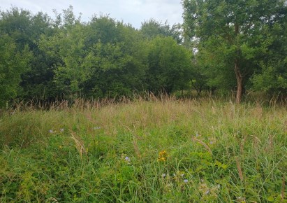 parcel for sale - Murowana Goślina (gw), Długa Goślina