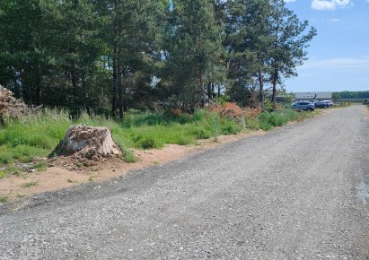 parcel for sale - Łubowo, Wierzyce