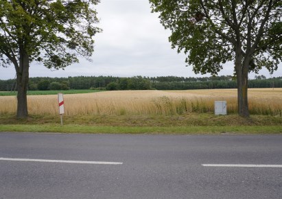 działka na sprzedaż - Czerwonak, Bolechowo