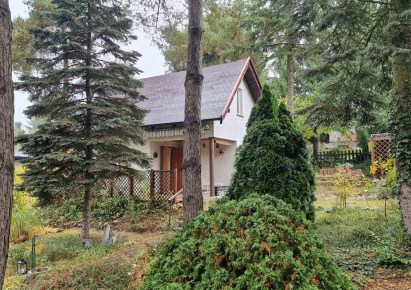 parcel for sale - Pobiedziska, Gorzkie Pole