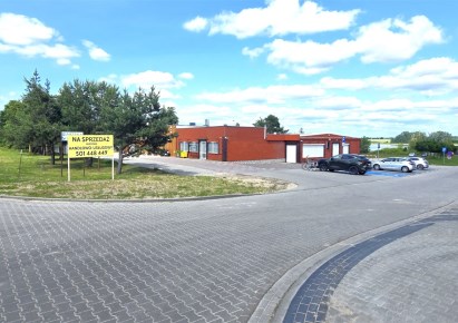 premise for sale - Buk (gw), Niepruszewo