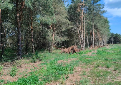 działka na sprzedaż - Łubowo, Wierzyce