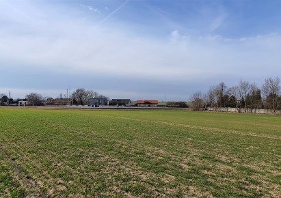 parcel for sale - Tarnowo Podgórne (gw), Tarnowo Podgórne