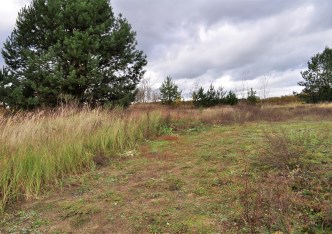 działka na sprzedaż - Murowana Goślina (gw), Łopuchowo