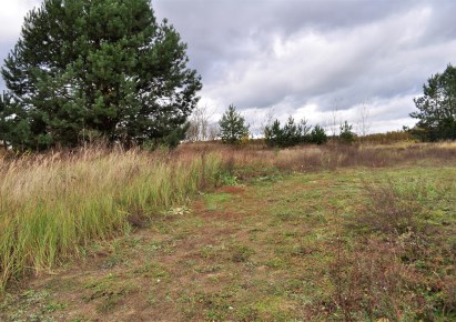 działka na sprzedaż - Murowana Goślina (gw), Łopuchowo