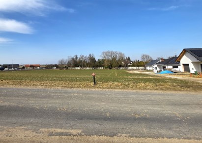 działka na sprzedaż - Tarnowo Podgórne (gw), Tarnowo Podgórne