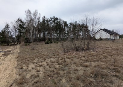 działka na sprzedaż - Skoki (gw), Sławica