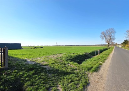 działka na sprzedaż - Kaźmierz