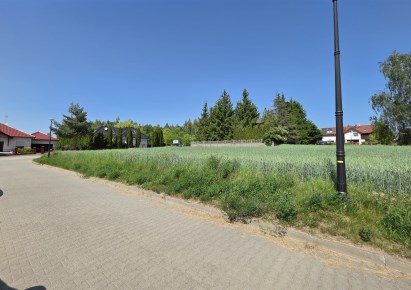 działka na sprzedaż - Tarnowo Podgórne (gw), Lusowo