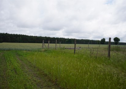 działka na sprzedaż - Rogoźno (gw), Budziszewko