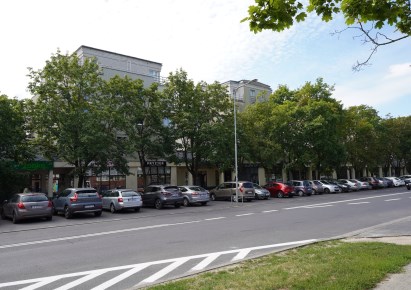 mieszkanie na sprzedaż - Poznań, Winogrady