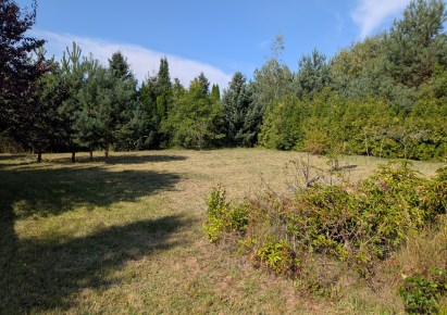 działka na sprzedaż - Murowana Goślina (gw), Rakownia