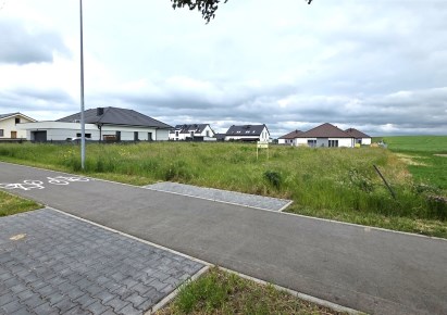 działka na sprzedaż - Tarnowo Podgórne (gw), Góra
