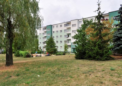 mieszkanie na wynajem - Poznań, Dębiec